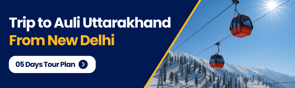 Auli from Delhi