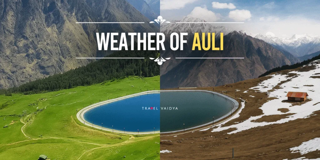 weather of auli india uttarakhand