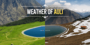 weather of auli