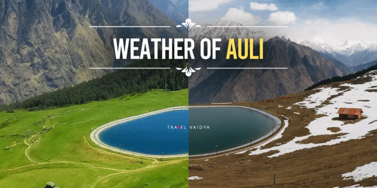 weather of auli