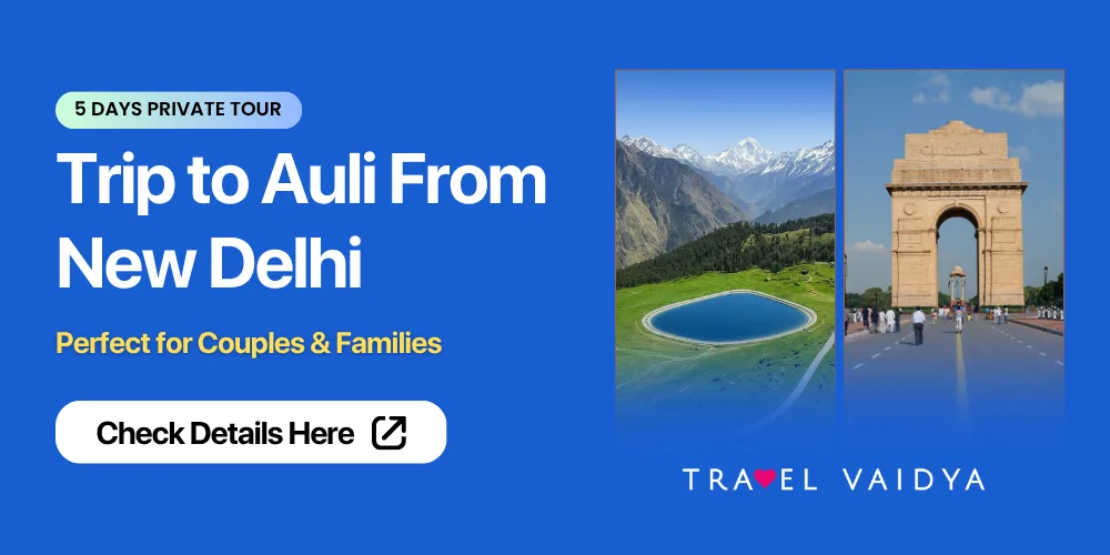 Trip to Auli from Delhi