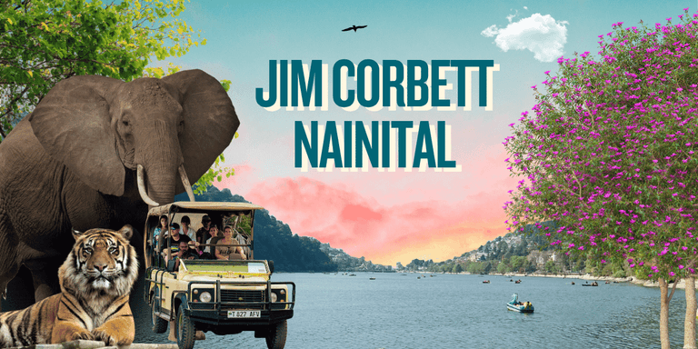 Best Places to Visit in Jim Corbett