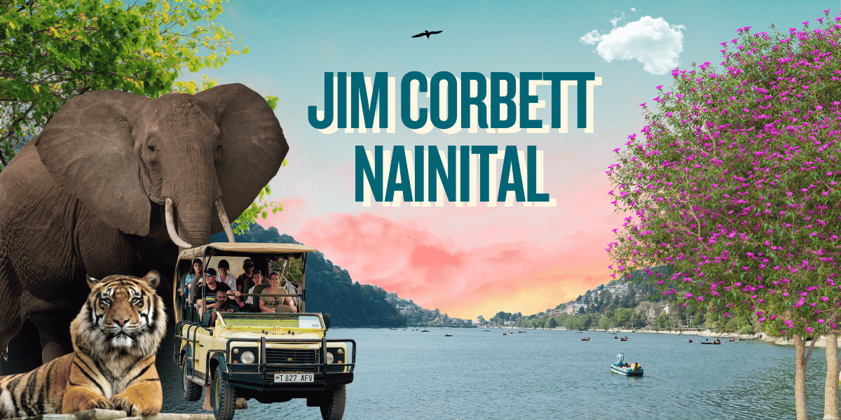 Best Places to Visit in Jim Corbett