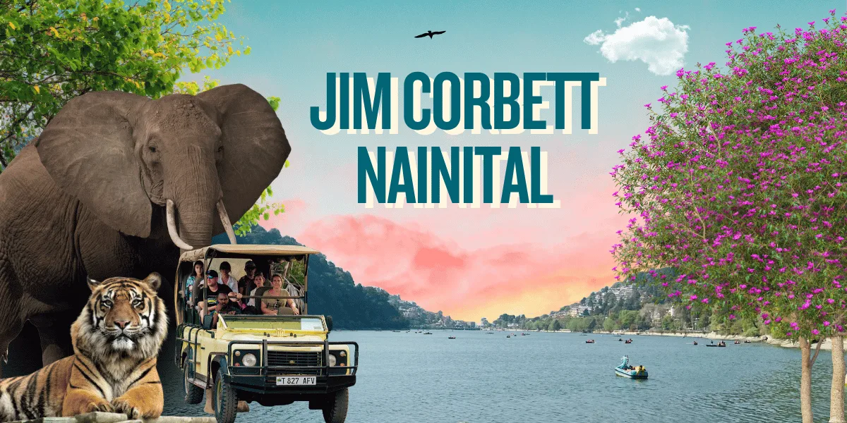 Best Places to Visit in Jim Corbett