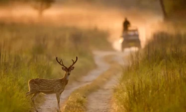 Nainital and Jim Corbett