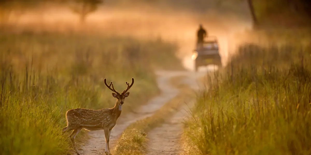 Nainital and Jim Corbett