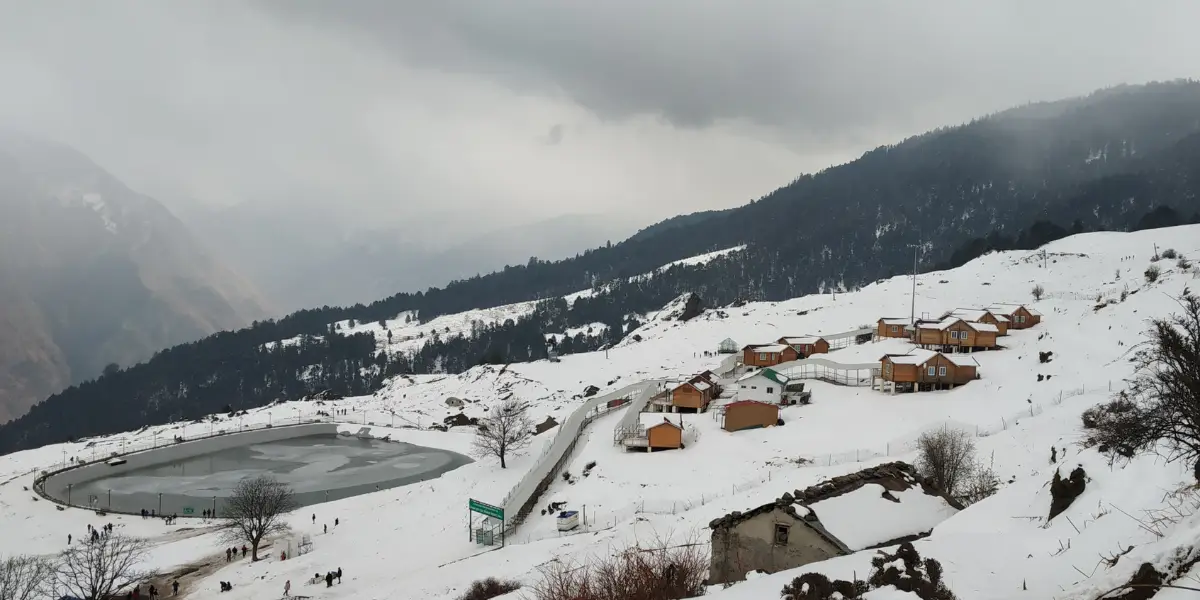 Auli