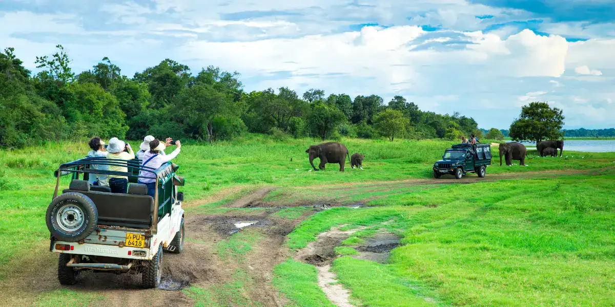 Wildlife safari in Uttarakhand
