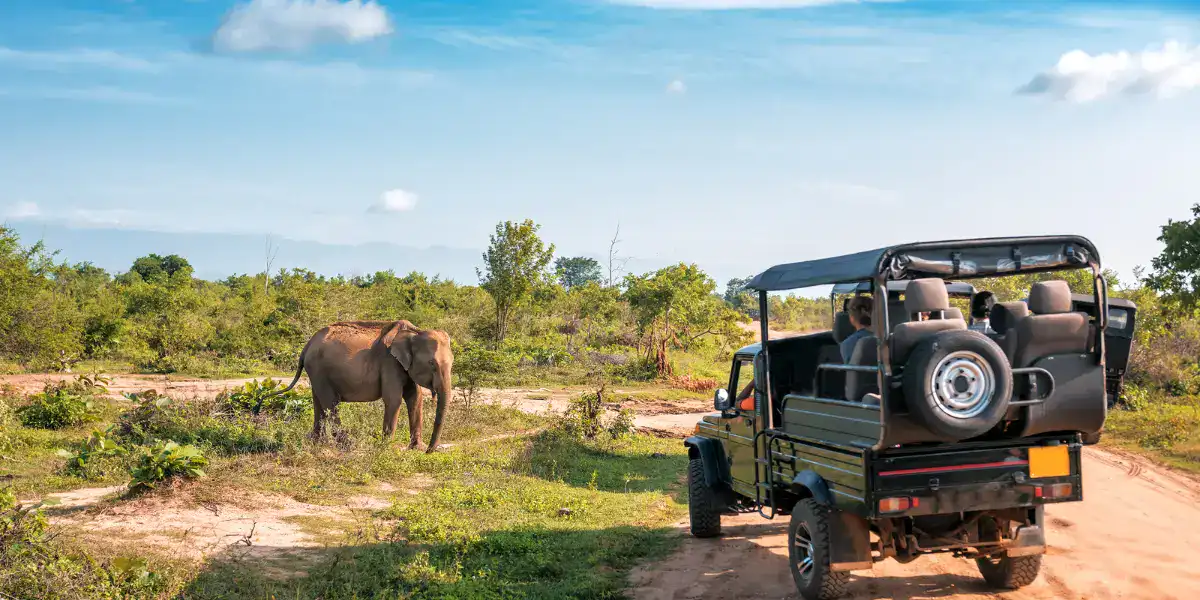 Wildlife Tours In Uttarakhand