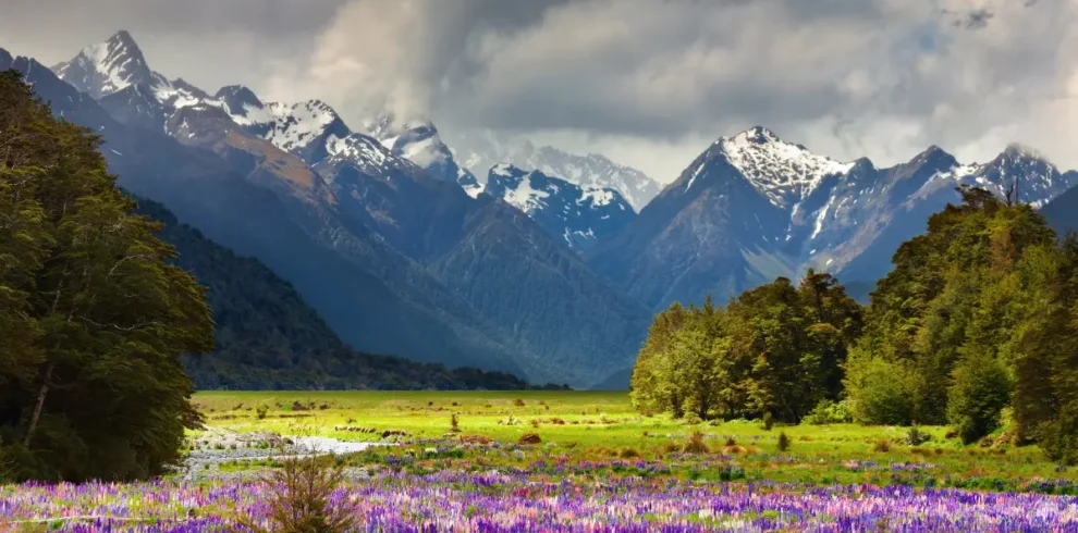 Trek to Valley Of Flowers