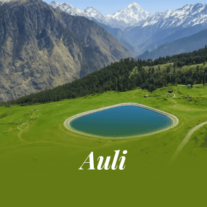 Auli