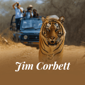 Jim Corbett