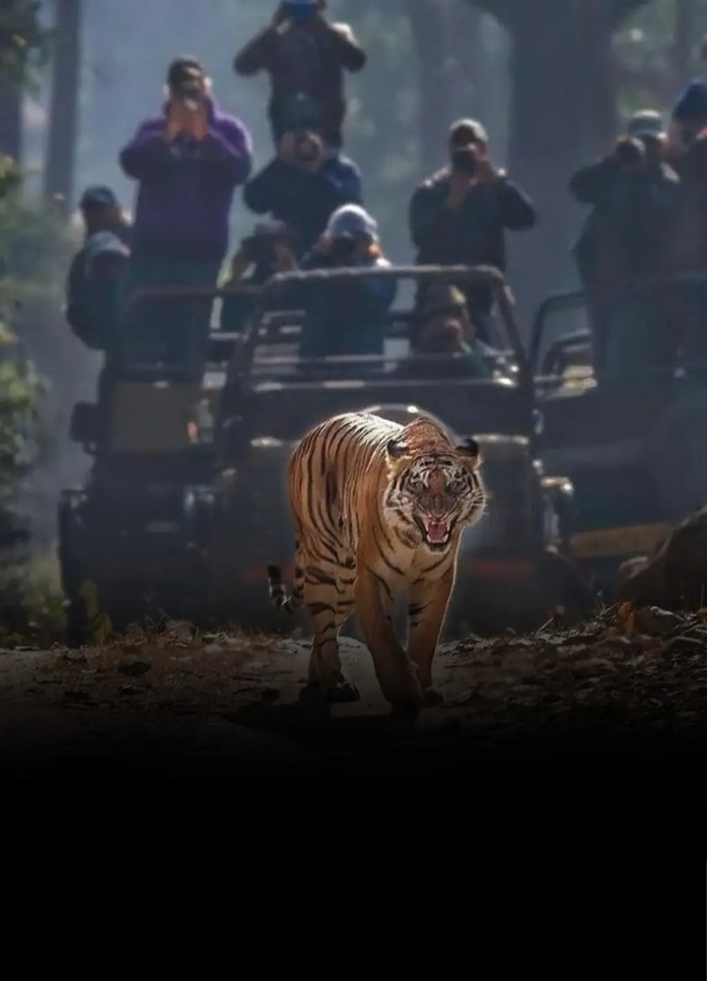 Nainital Mukteshwar and Jim Corbett